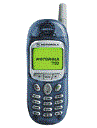 Best available price of Motorola T190 in Jamaica