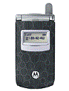 Best available price of Motorola T725 in Jamaica