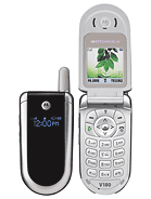 Best available price of Motorola V186 in Jamaica