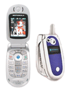 Best available price of Motorola V303 in Jamaica