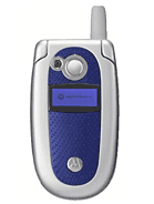 Best available price of Motorola V500 in Jamaica