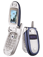 Best available price of Motorola V560 in Jamaica