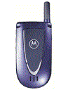 Best available price of Motorola V66i in Jamaica